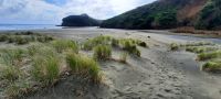 Neuseeland Nordinsel - Te Henga (Bethells Beach bei Auckland - Tasman See