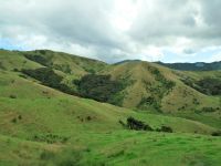 Neuseeland Nordinsel - Coromandel Halbinsel