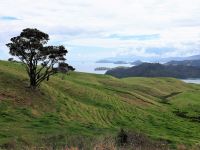 Neuseeland Nordinsel - Coromandel Halbinsel - Manaia Lookout