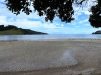 Neuseeland Nordinsel - Coromandel Halbinsel - Westküste