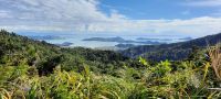 Neuseeland Nordinsel - Coromandel Halbinsel Westküste - Ausblick Kaipawa Trig Track