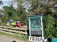 Neuseeland Nordinsel - Coromandel Halbinsel - rund um Tairua