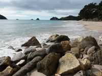 Neuseeland Nordinsel - Coromandel Halbinsel - Hahei Beach