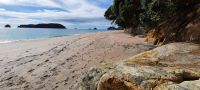 Neuseeland Nordinsel - Coromandel Halbinsel - Hahei Beach