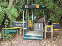 Neuseeland Nordinsel - Coromandel Halbinsel - Whenuakite Kauri Walk