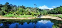 Neuseeland Nordinsel -  entlang des Waihou River