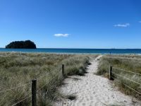 Neuseeland Nordinsel - Bay of Plenty - Tauranga