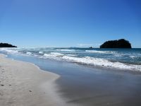 Neuseeland Nordinsel -  Bay of Plenty - Tauranga
