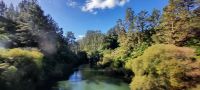 Neuseeland Nordinsel - Rangitaiki River