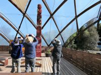 Neuseeland Nordinsel - Waitomo Caves