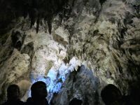 Neuseeland Nordinsel - Waitomo Caves