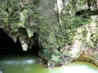Neuseeland Nordinsel - Waitomo Caves