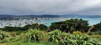 Neuseeland Nordinsel - Wellington - Mount Victoria Lookout
