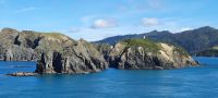 Neuseeland - Fährpassage durch den Queen Charlotte Sound zur Südinsel