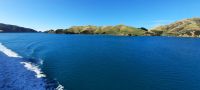 Neuseeland - Fährpassage durch den Queen Charlotte Sound zur Südinsel