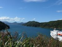 Neuseeland Südinsel - Picton Aussichtspunkt