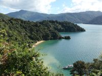 Neuseeland Südinsel - Queen Charlotte Drive - Governors Bay