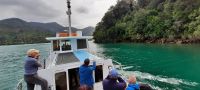 Neuseeland Südinsel - private Eberhardt Kreuzfahrt durch den Kenepuru Sound