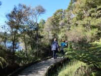 Neuseeland Südinsel - Waikoropupu Springs 