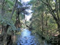 Neuseeland Südinsel - Waikoropupu Springs 