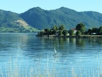 Neuseeland Südinsel - Golden Bay - Collingwood bei Flut