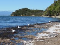 Neuseeland Südinsel - Genießertag an der Golden Bay