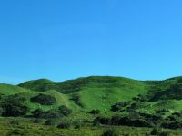 Neuseeland Südinsel - Genießertag an der Golden Bay - Puponga Farmpark