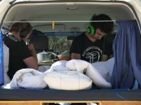 Neuseeland Südinsel - unterwegs