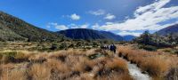 Neuseeland Südinsel - Lewis Pass - Alpine Nature Walk