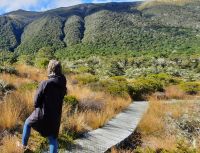 Neuseeland Südinsel - Lewis Pass - Alpine Nature Walk