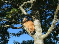 Neuseeland Südinsel - Methven am Morgen