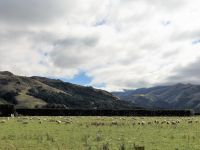 Neuseeland Südinsel -  Region Canterbury - Scenic Route 72