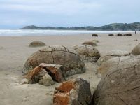 Neuseeland Südinsel -  Region Otago - Moeraki Boulders