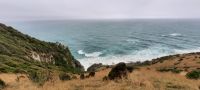 Neuseeland Südinsel - Pazifik Küste - Wanderung zum Nugget Point