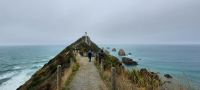 Neuseeland Südinsel - Pazifik Küste - Wanderung zum Nugget Point