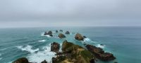 Neuseeland Südinsel - Pazifik Küste - Wanderung zum Nugget Point