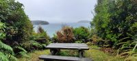 Neuseeland - Stewart Island - kleine Wanderung am Morgen