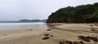 Neuseeland - Stewart Island - kleine Wanderung am Morgen