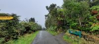 Neuseeland - Stewart Island