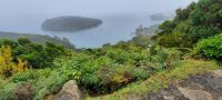 Neuseeland - Stewart Island - Aussichtspunkt