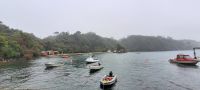 Neuseeland - Stewart Island - Golden Bay