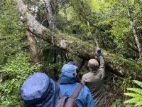 Neuseeland - Stewart Island - Abenteuer Ulva Island