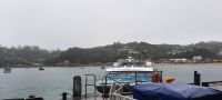 Neuseeland - Stewart Island - abendliche Kiwi Tour