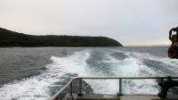 Neuseeland - Stewart Island - abendliche Kiwi Tour