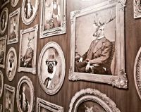 Neuseeland Südinsel -  Wanaka am Abend - bebilderte Toi