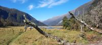 Neuseeland Südinsel - Mt. Aspiring Nationalpark - angekommen im Wilkin Valley