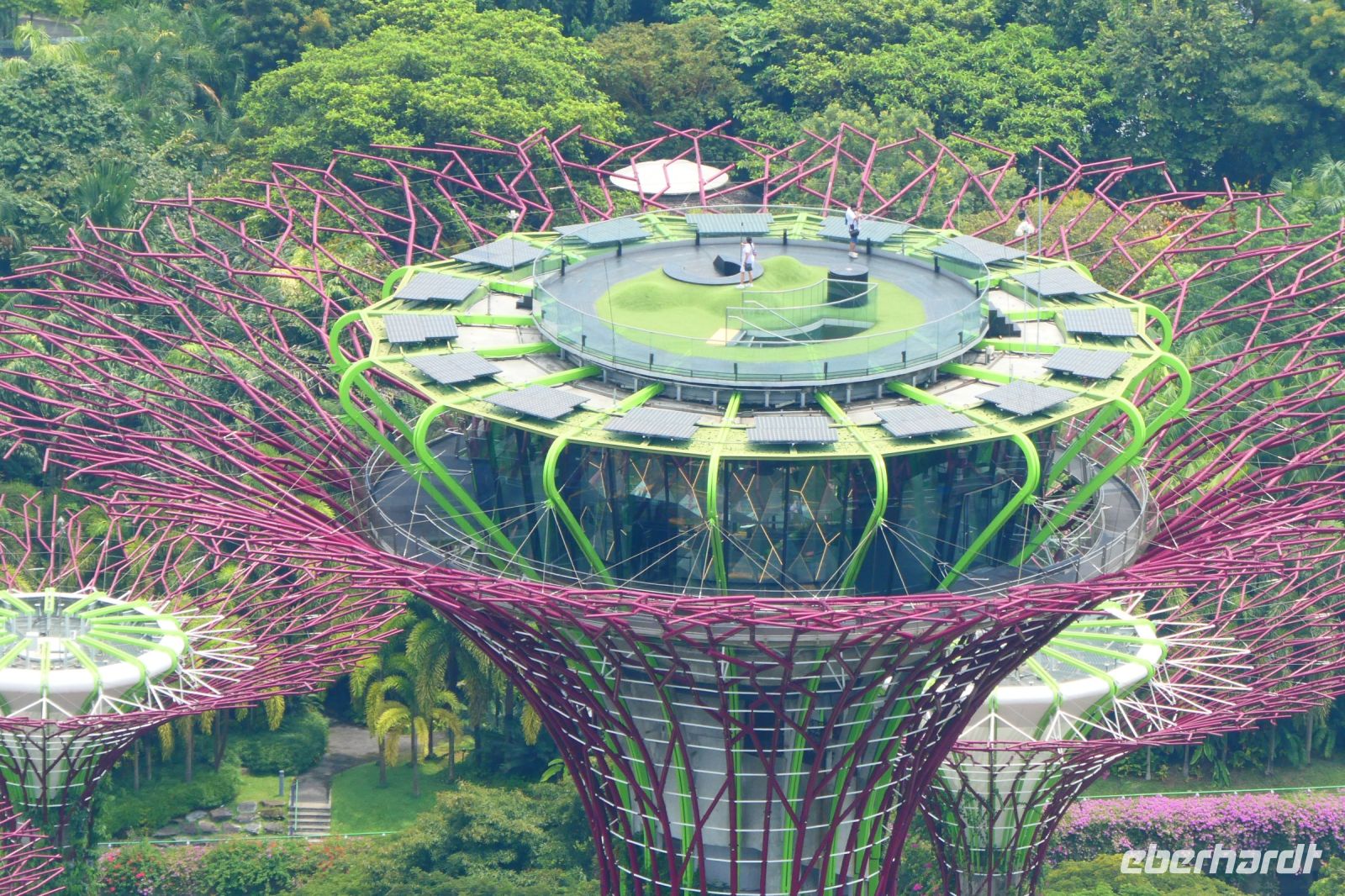 The supertree-observatory