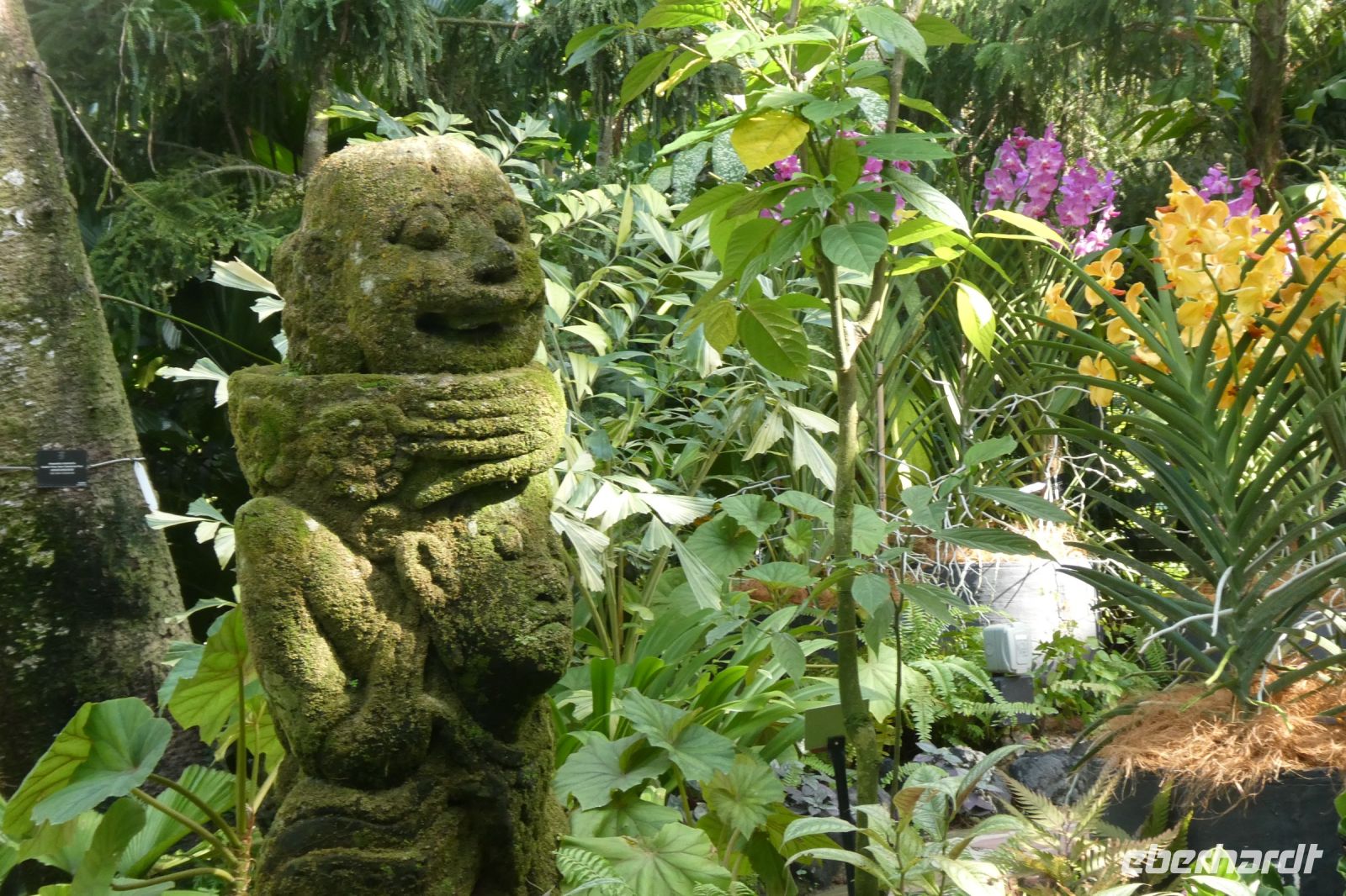 im Botanischen Garten Singapur