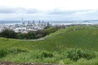 Blick vom Aussichtspunkt auf Auckland
