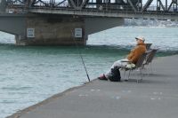 vielleicht beißt ja einer!